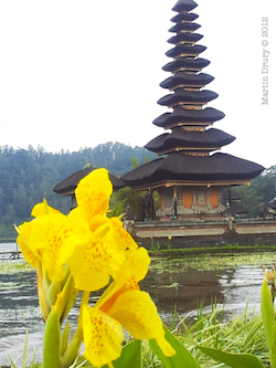 Flower and temple.